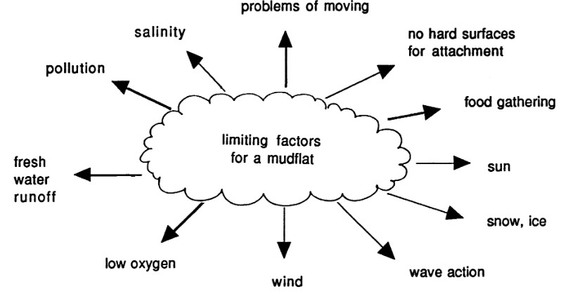Diagram showing limiting factors for a mudflat. Shows clockwise, around a circular cloud; problems of moving, no hard surfaces, food gathering, sun, snow, ice, wave action, wind, low oxygen, fresh water runoff, pollution, salinity.