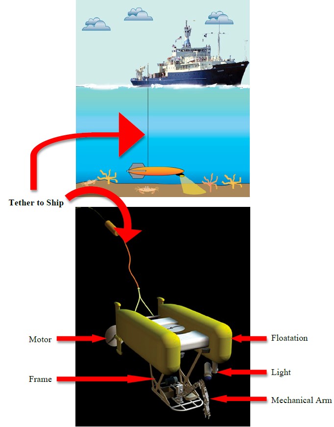 A graphic showing a ship on the ocean tethered to an ROV in the ocean. Some ROV parts are named motor, frame, floatation, light, mechanical arm. 