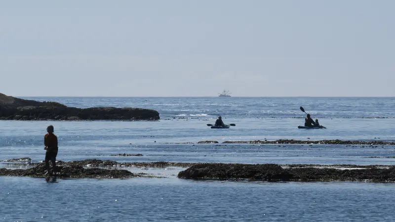 A person looks on as two kayakers float in the ocean.