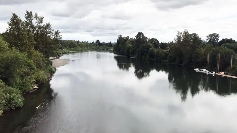 A river lined by trees.