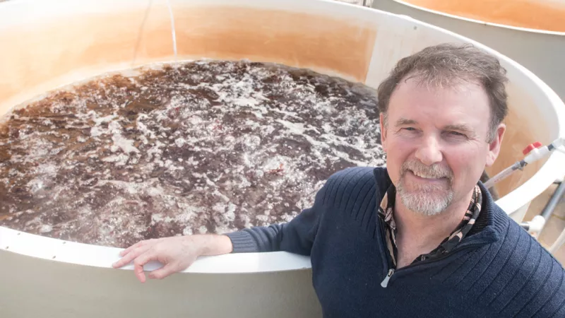 Chris Langdon, an aquaculture researcher at Oregon State University