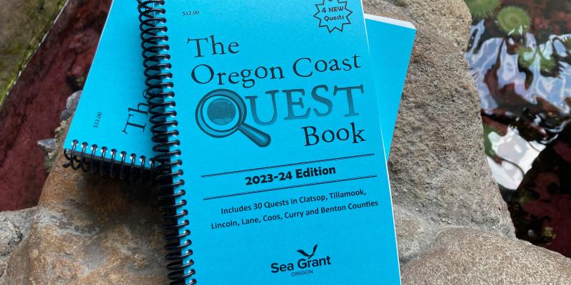 Quest book on rock