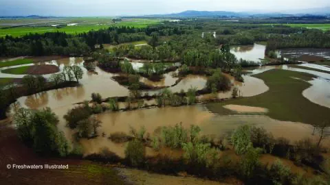 The Willamette River basin flooding farm fields