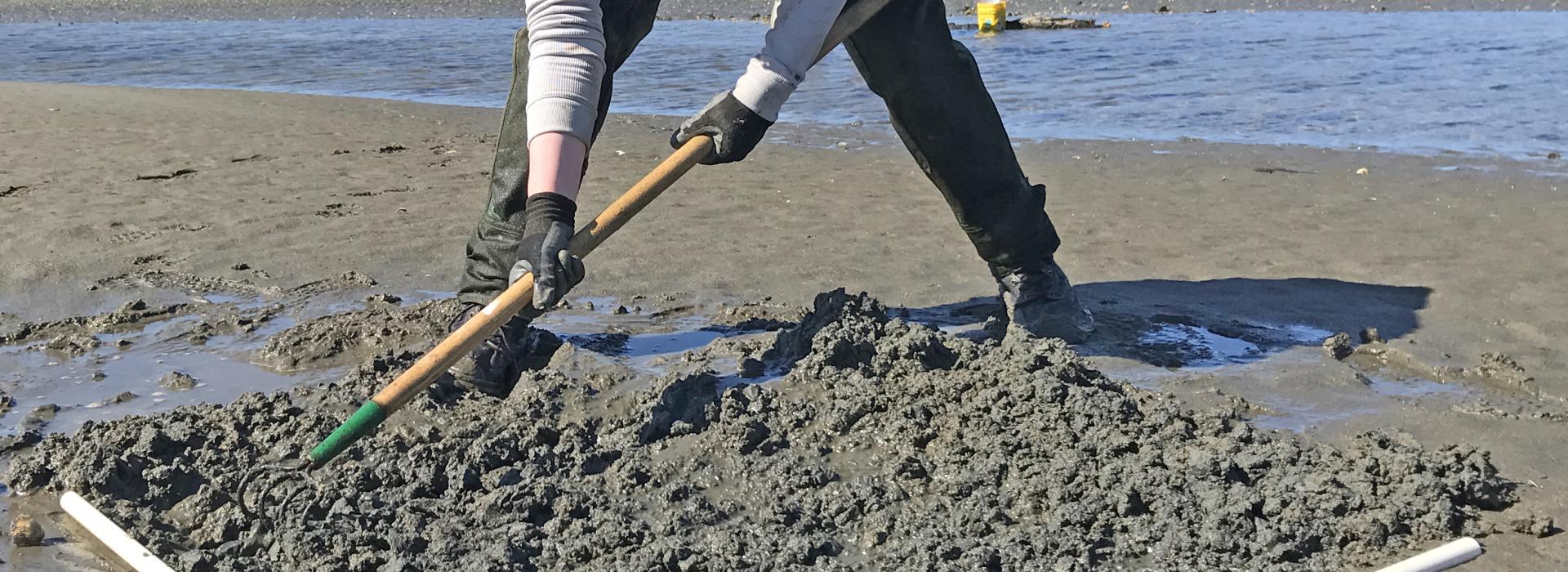 2017 Summer Scholar Katie Gregory working in the field on the coast