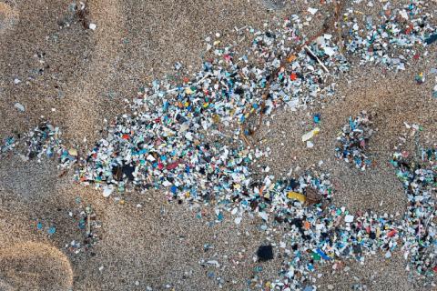 Tidy pieces of plastic pollution lay on the beach along the tide line. 