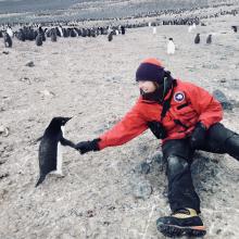 Suzanne Winquist giving a penguin a handshake