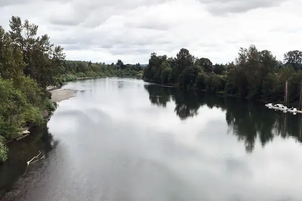 A river lined by trees.