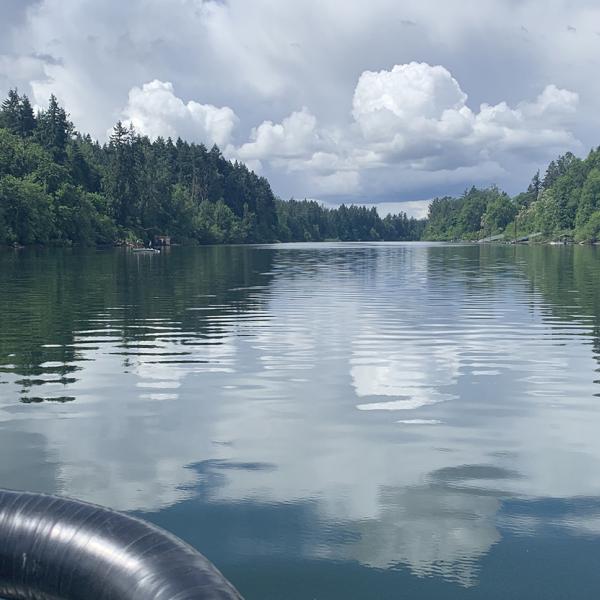A view of the Willamette River from the front of a boat on a sunny day with fluffy clouds. The river is banked by green shrubs and trees.