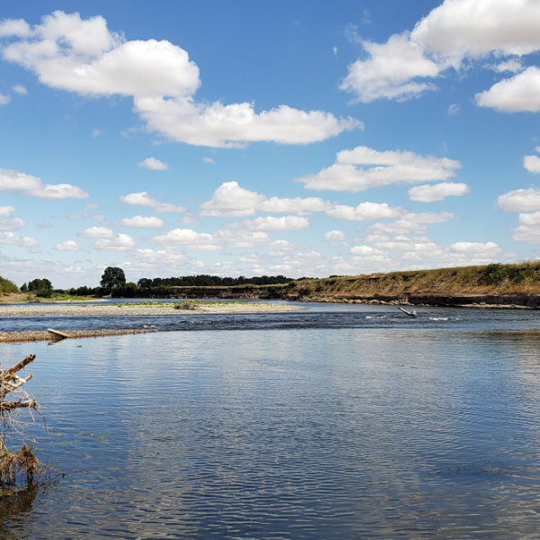 The Willamette RIver on a sunny day, fuffy clouds fill the sky. The river is broad, flat and calm. 