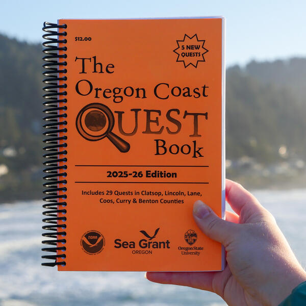 A hand holding a quest book against an ocean background.
