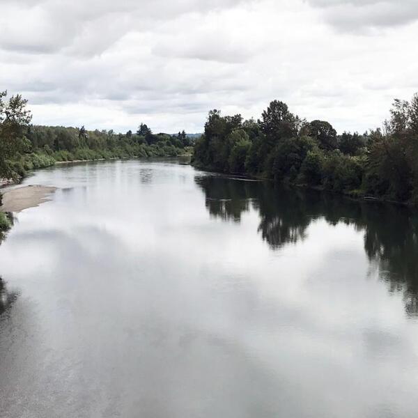 A river lined by trees.