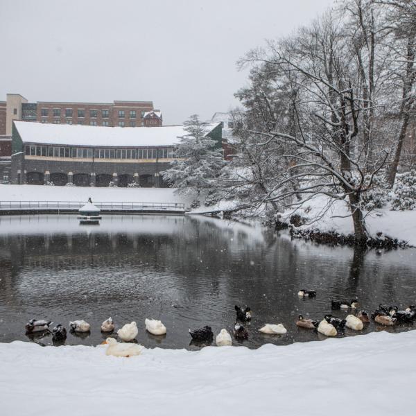 scenic view of App State campus 