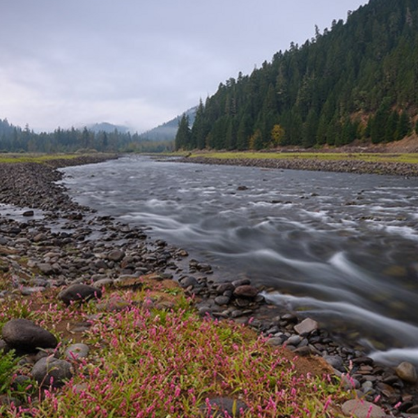 A river is flowing