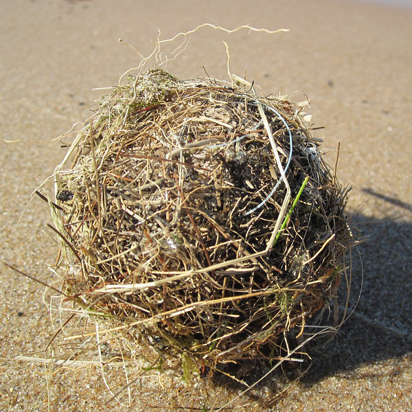 Beach ball made of vegetation